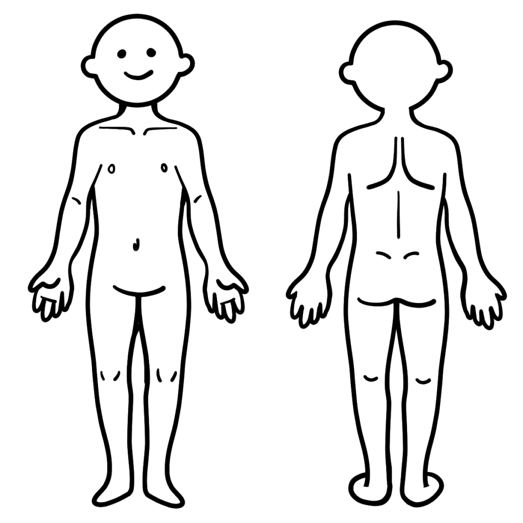 かわいい人体イラスト シェーマ図 がんばらない作業療法士ブログ 新人 中堅ｏｔのお悩み解決