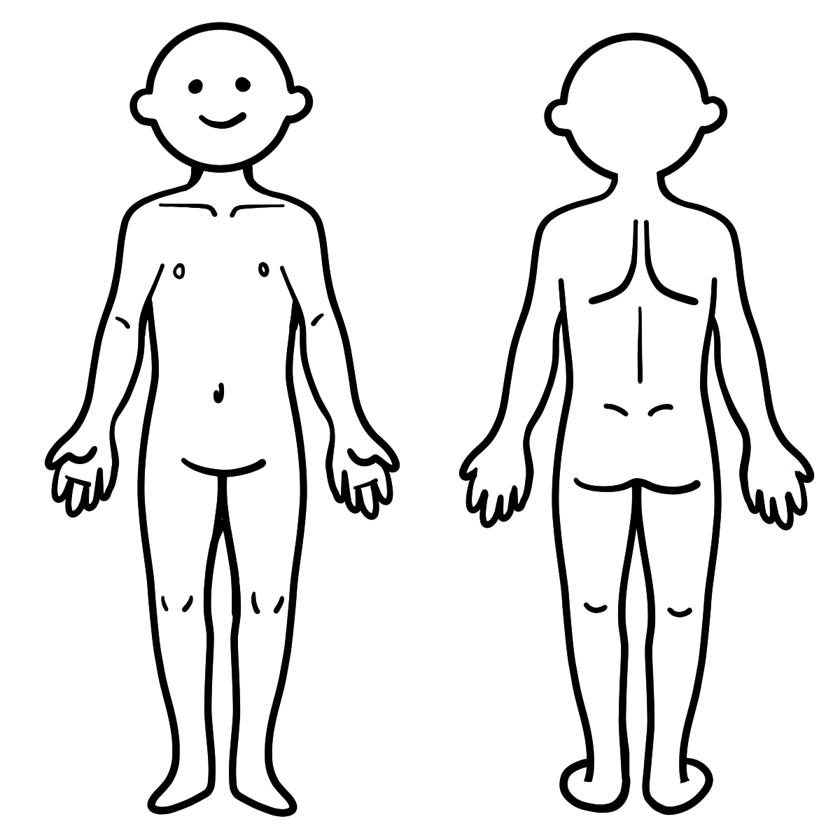 かわいい人体イラスト シェーマ図 がんばらない作業療法士ブログ 新人 中堅ｏｔのお悩み解決